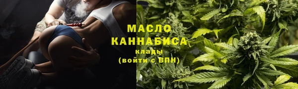 соль ск Зеленодольск