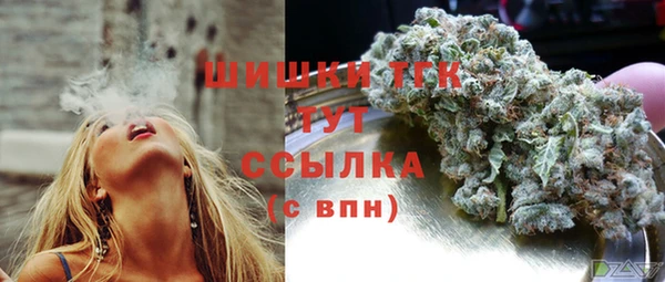 соль ск Зеленодольск