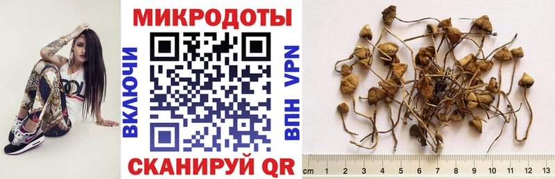 кракен маркетплейс  Мичуринск  Псилоцибиновые грибы GOLDEN TEACHER 